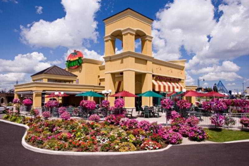 Comfort Inn Fallsview Niagara Falls Exterior foto